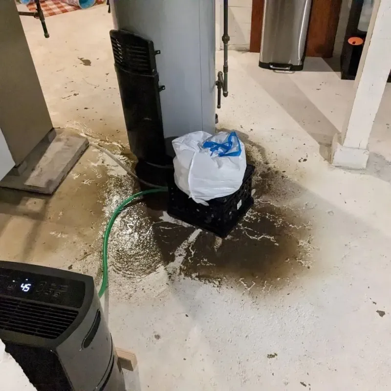Sewage Backup Cleanup Service in Ochiltree County, TX